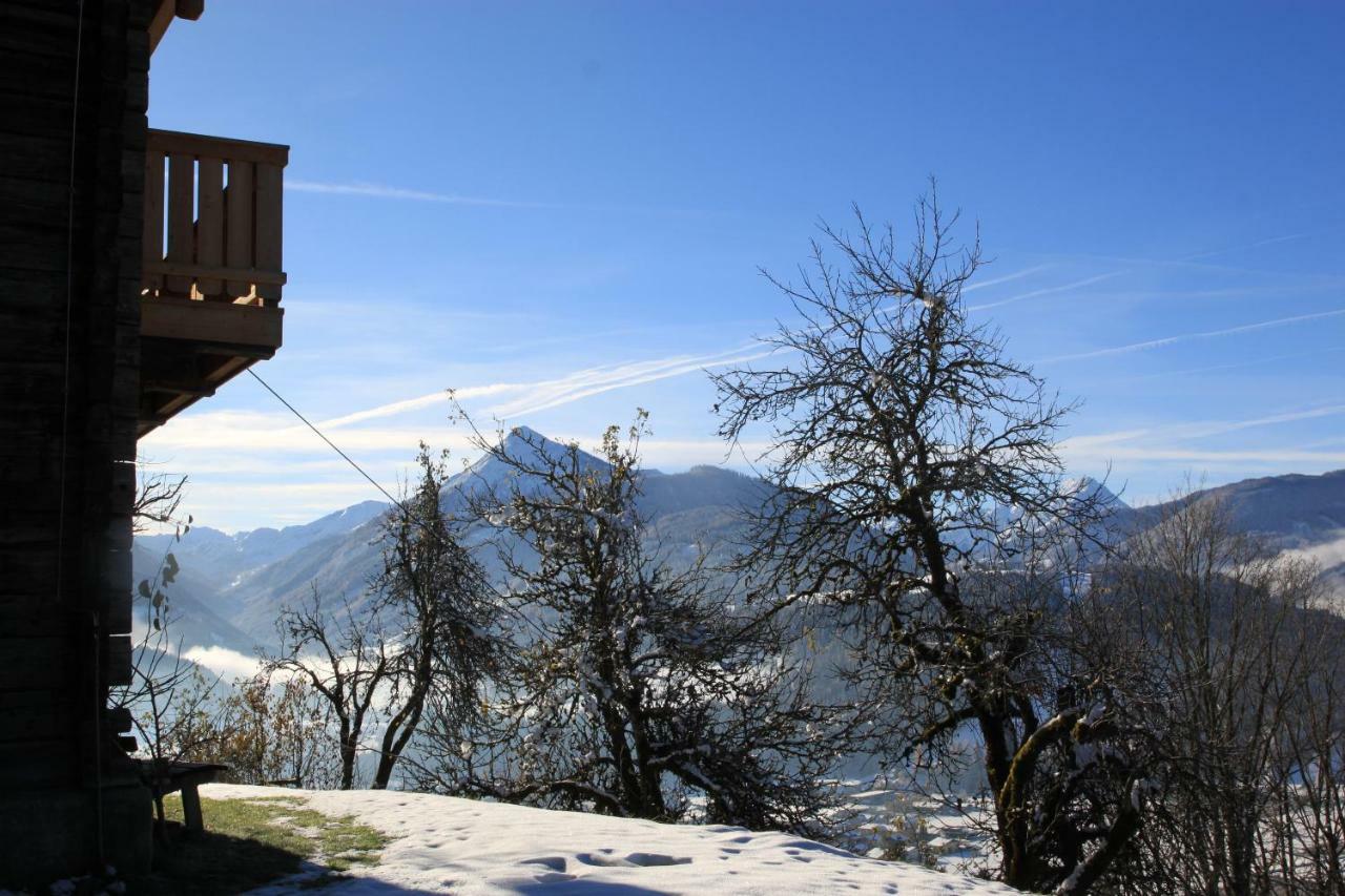 Apartment Poetzelberghof Altenmarkt im Pongau Ngoại thất bức ảnh