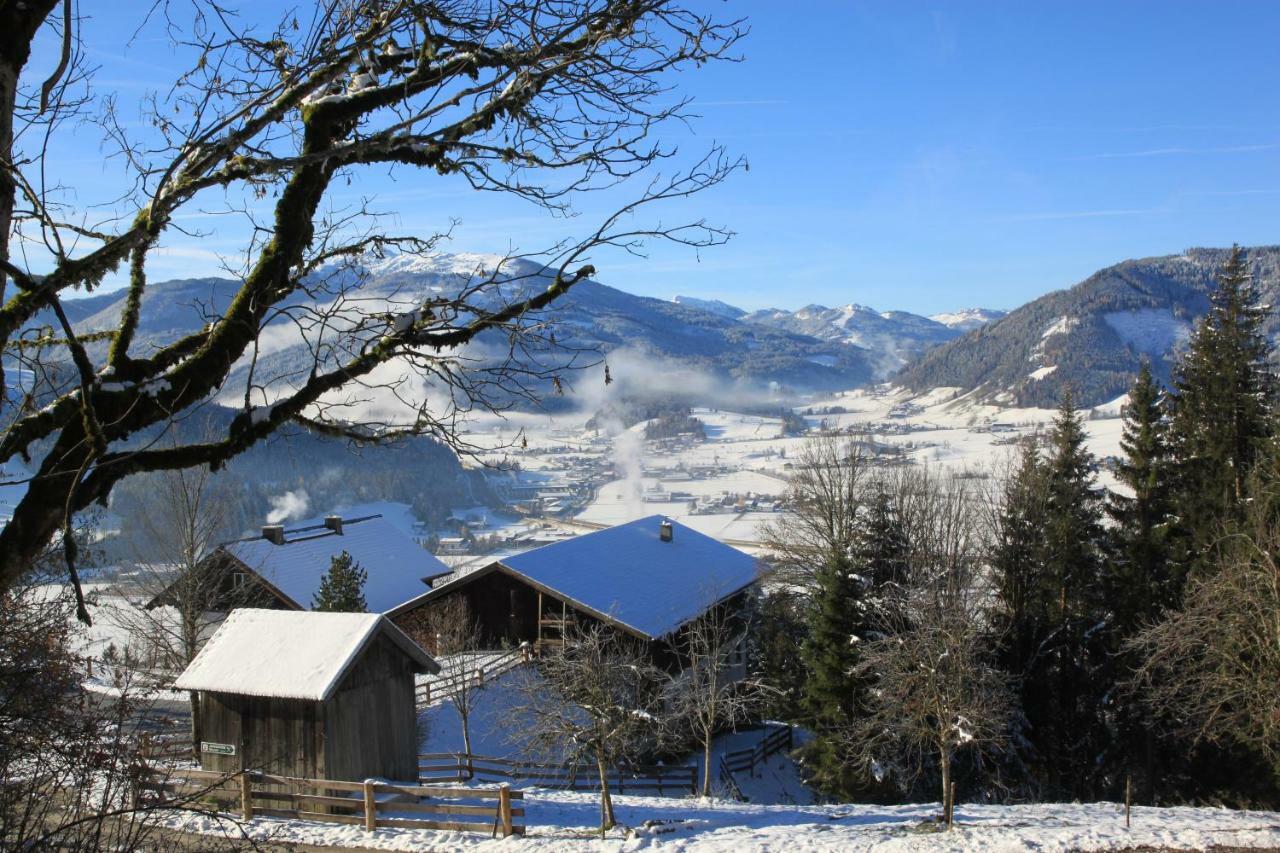 Apartment Poetzelberghof Altenmarkt im Pongau Ngoại thất bức ảnh